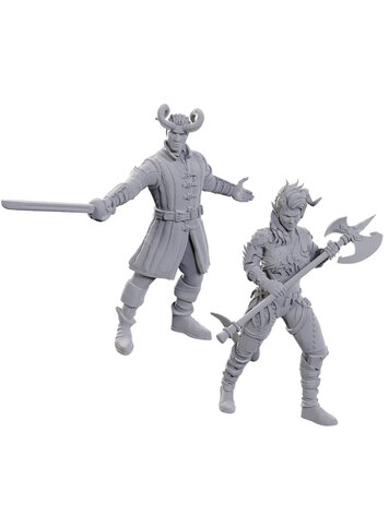 WIZKIDS D&D NOLZUR'S MARVELOUS MINIATURES: BALDURS GATE 3 - WYLL & KARLACH