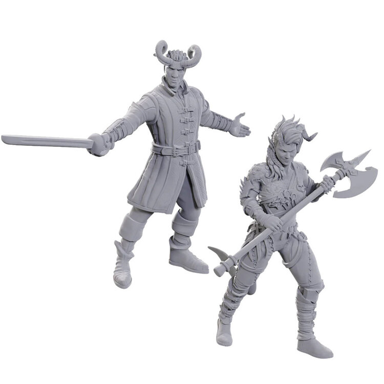 WIZKIDS D&D NOLZUR'S MARVELOUS MINIATURES: BALDURS GATE 3 - WYLL & KARLACH