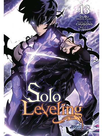 SOLO LEVELING GN VOL 13
