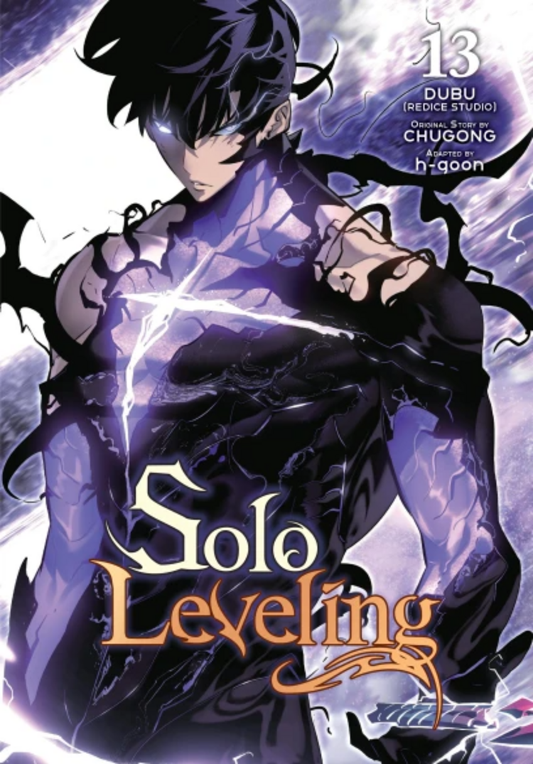 SOLO LEVELING GN VOL 13