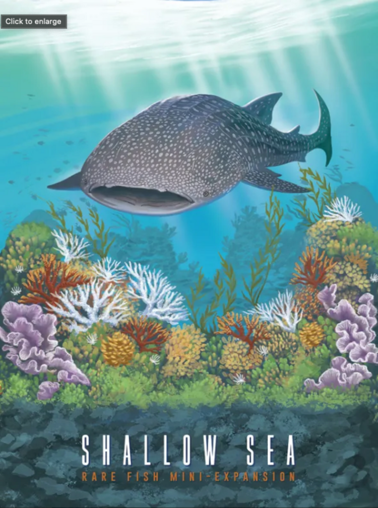 SHALLOW SEA: RARE FISH MINI EXP