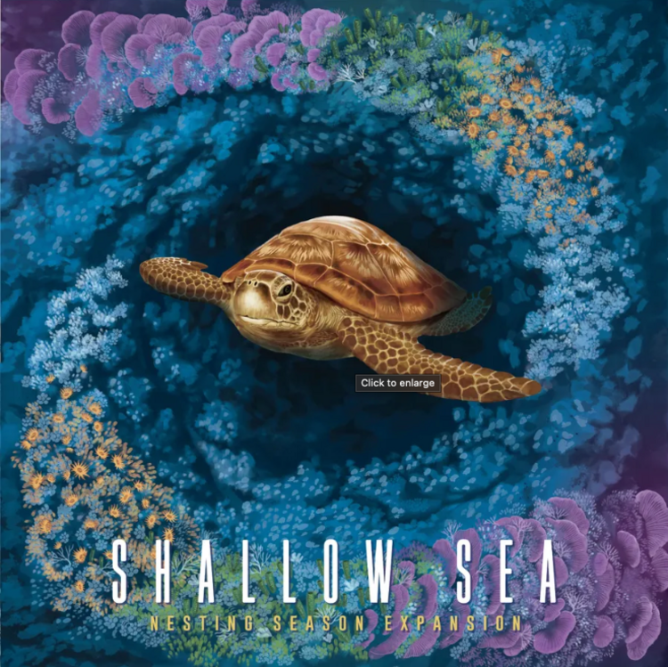 SHALLOW SEA: NESTING SEASON EXP