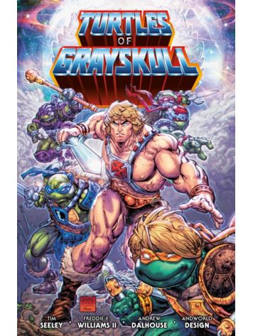DARK HORSE COMICS MASTERS OF THE UNIVERSE TEENAGE MUTANT NINJA TURTLES TURTLES OF GRAYSKULL TP