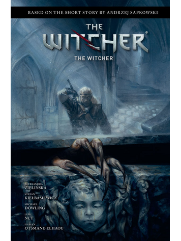 DARK HORSE COMICS ANDRZEJ SAPKOWSKI THE WITCHER THE WITCHER HC