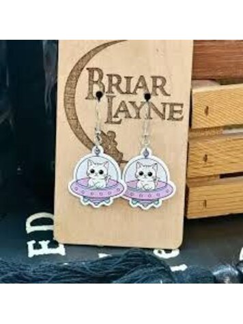 SPACE CAT AND SPACESHIP EARRINGS