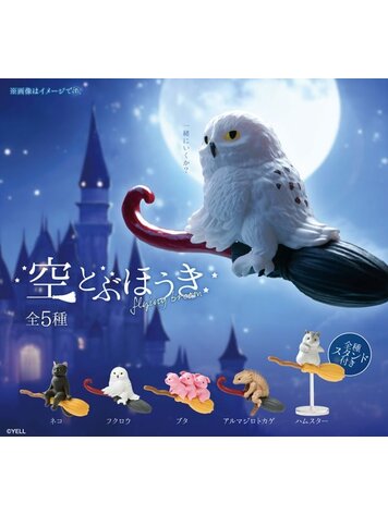 FLYING BROOM BLIND BOX