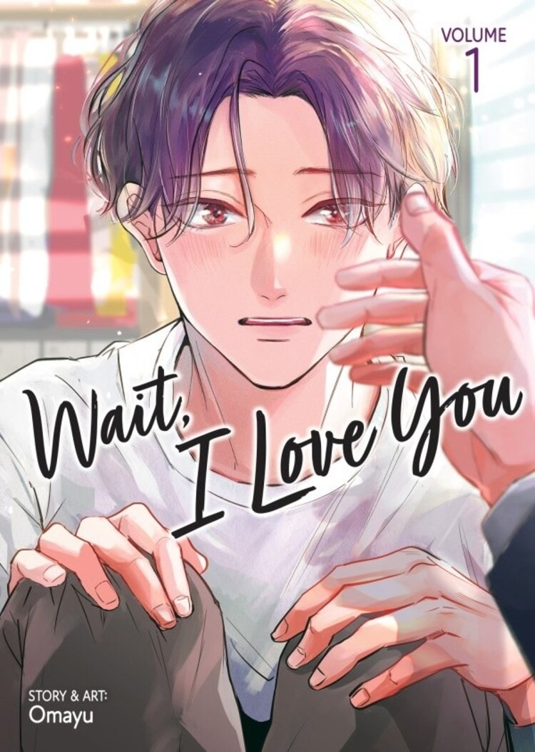SEVEN SEAS ENTERTAINMENT WAIT I LOVE YOU GN VOL 01