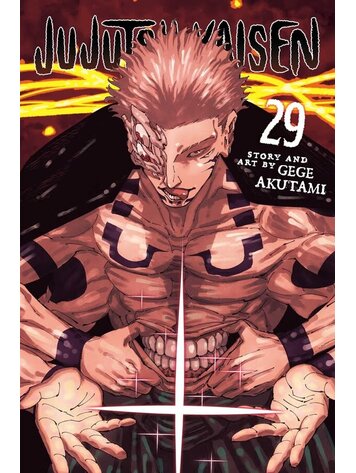 VIZ MEDIA LLC JUJUTSU KAISEN GN VOL 29