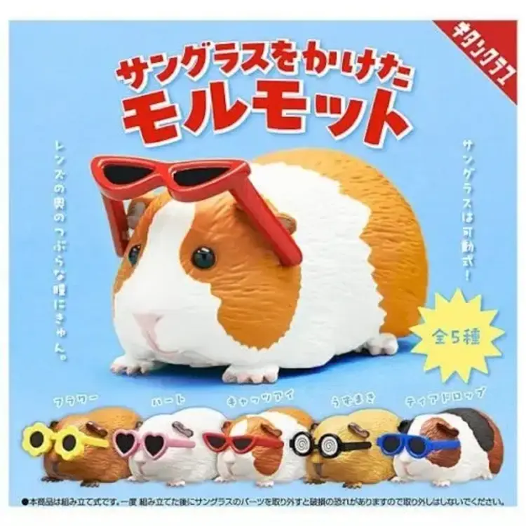 SUNGLASSES GUINEA PIG BLIND BOX