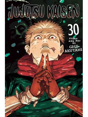 VIZ MEDIA LLC JUJUTSU KAISEN GN VOL 30