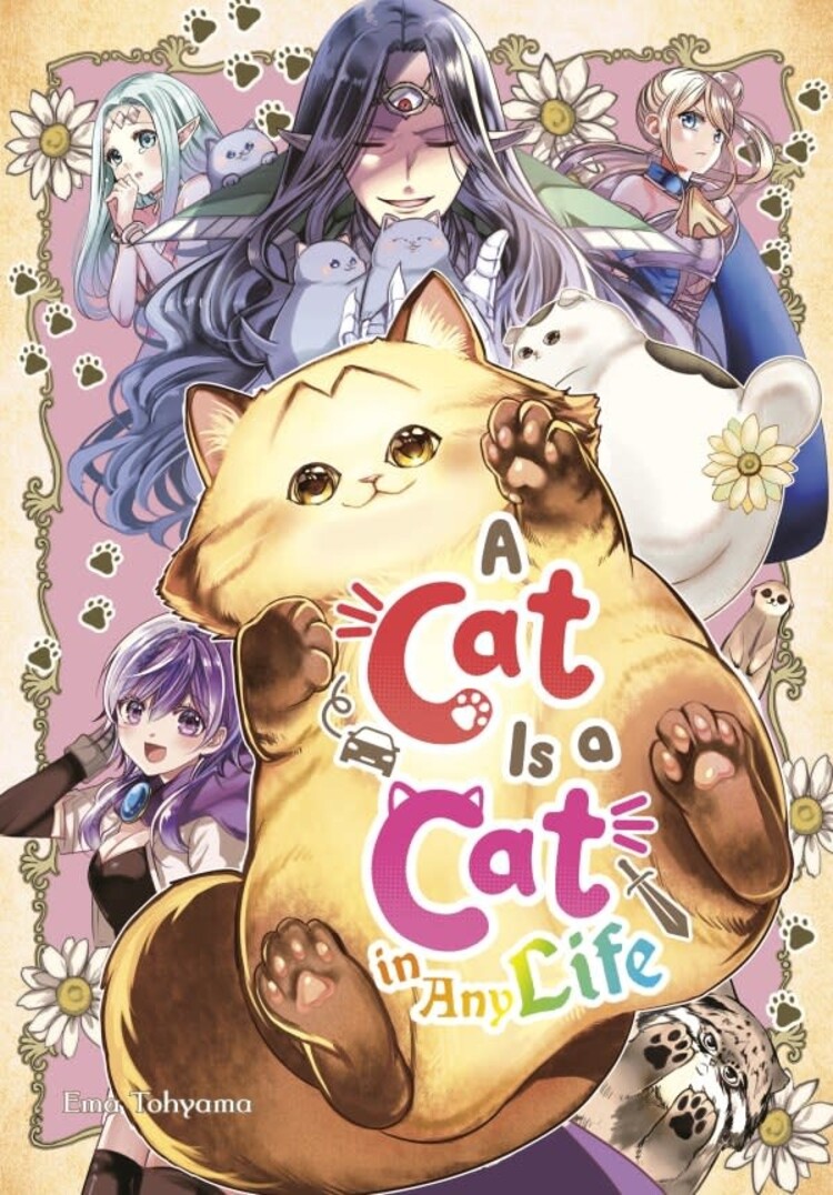 SQUARE ENIX CAT IS A CAT IN ANY LIFE GN