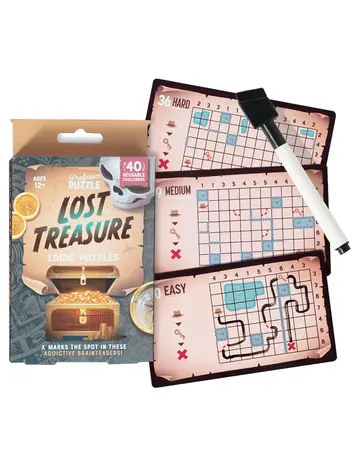 LOST TREASURE LOGIC PUZZLES