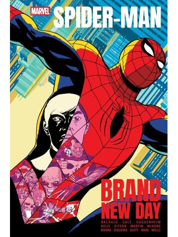 MARVEL COMICS SPIDER-MAN BRAND NEW DAY GN TP MARVEL COMICS SPIDER-MAN BRAND NEW DAY GN TP