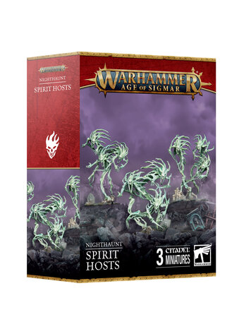 GAMES WORKSHOP WARHAMMER AGE OF SIGMAR NIGHTHAUNT SPIRIT HOSTS