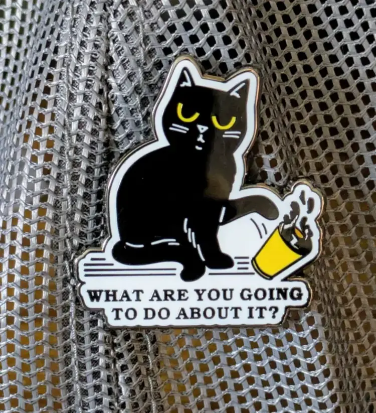 WHAT ARE YOU GOING TO DO ABOUT IT CAT ENAMEL PIN