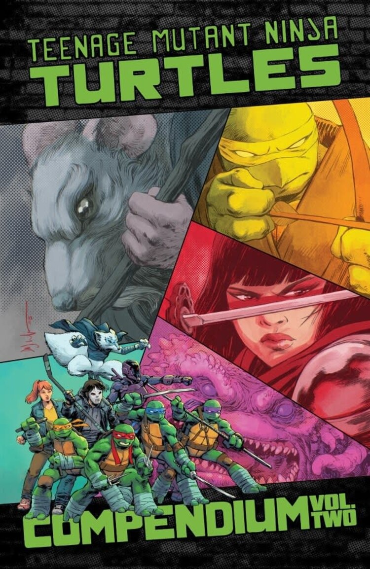 IDW PUBLISHING TEENAGE MUTANT NINJA TURTLES COMPENDIUM TP VOL 02