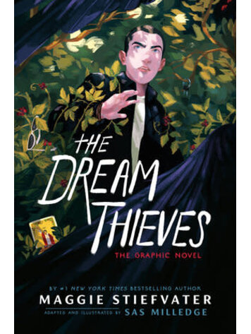 RAVEN CYCLE GN VOL 02 DREAM THIEVES