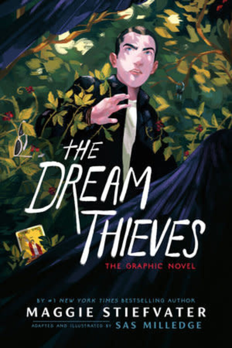 RAVEN CYCLE GN VOL 02 DREAM THIEVES