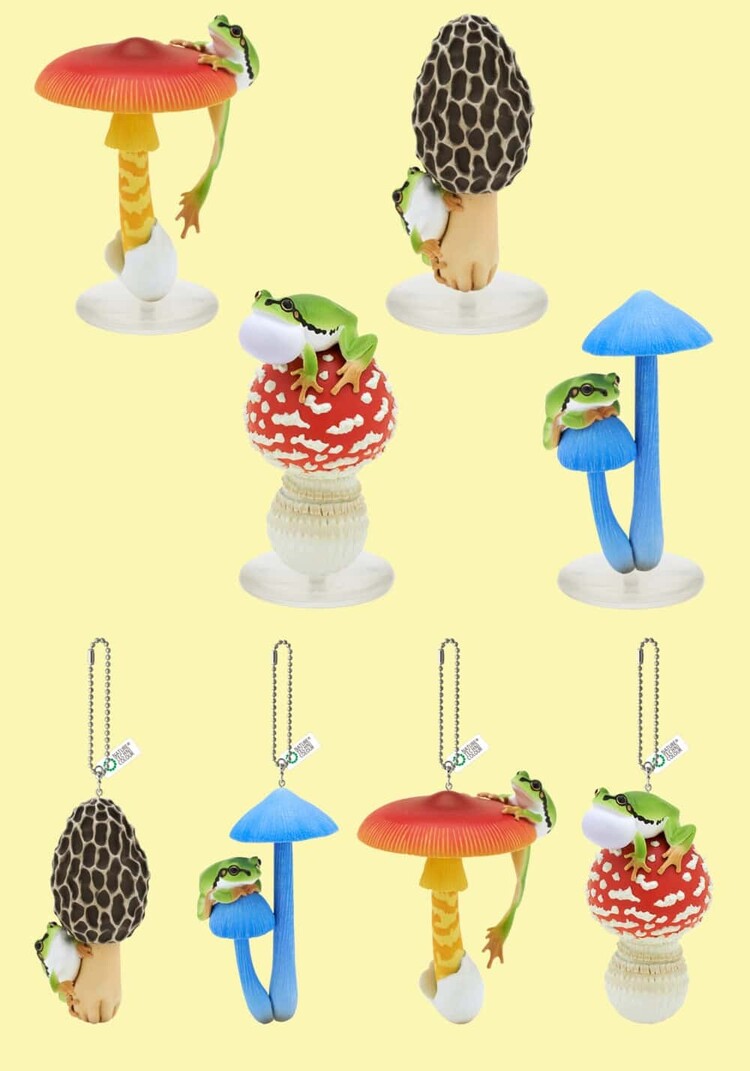 MUSHROOM AND FROG BLIND BOX