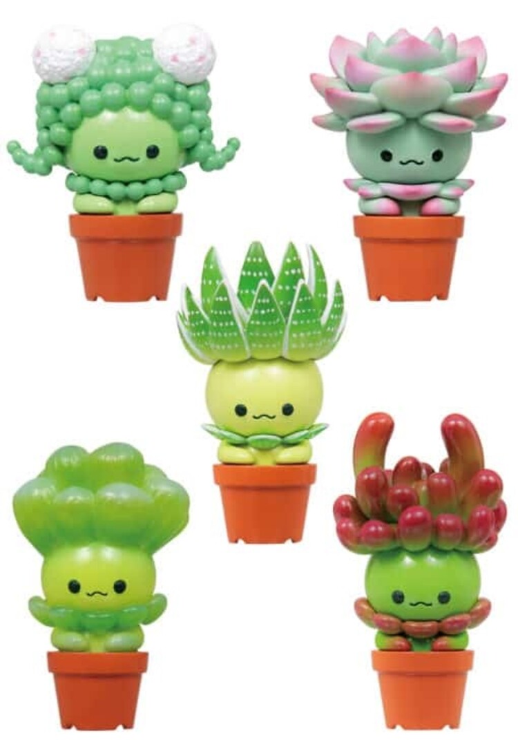 QUALIA SUCCULENT FRIENDS BLIND BOX