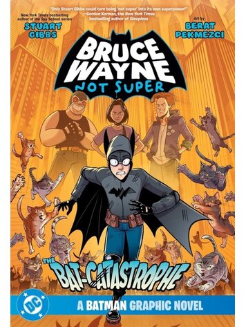 DC COMICS BRUCE WAYNE NOT SUPER THE BAT-CATASTROPHE A BATMAN GRAPHIC NOVEL TP