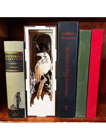 LED FANTASY BOOK NOOK LIBRARY RAVEN BATTERY POWER