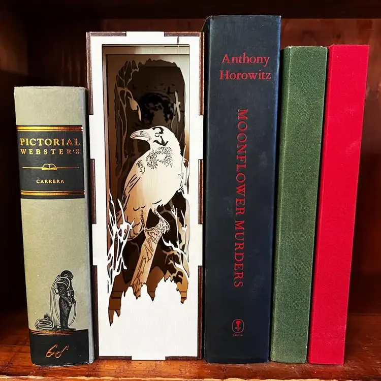 LED FANTASY BOOK NOOK LIBRARY RAVEN BATTERY POWER