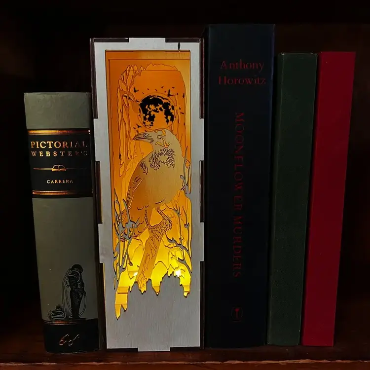 LED FANTASY BOOK NOOK LIBRARY RAVEN BATTERY POWER