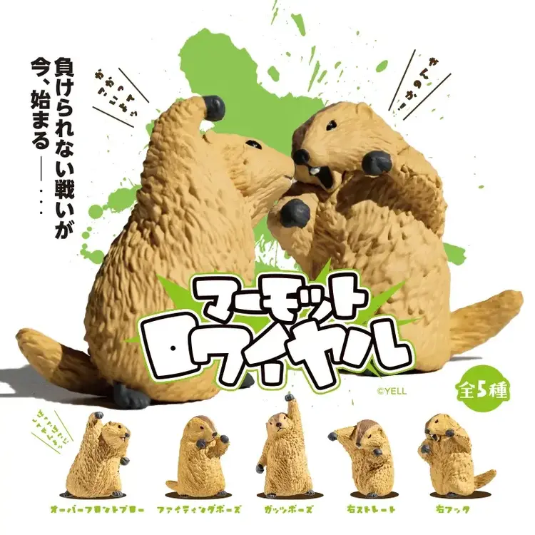 YELL MARMOT ROYALE LAST MARMOT STANDING BLIND BOX