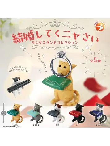 BRIGHTLINK PLEASE MARRY ME CAT RING STAND BLIND BOX