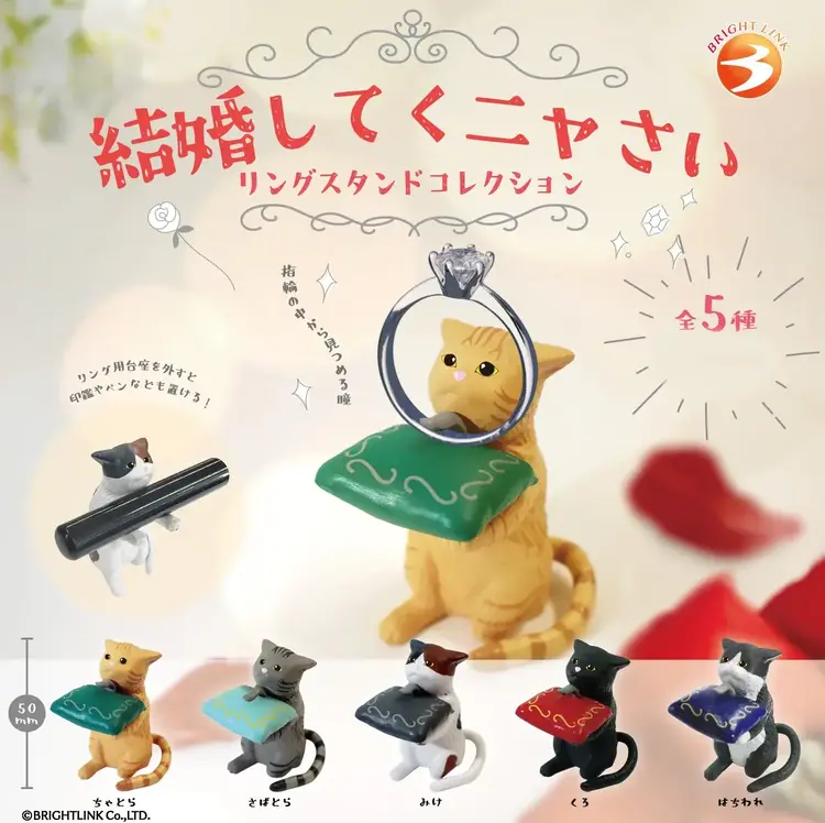 BRIGHTLINK PLEASE MARRY ME CAT RING STAND BLIND BOX