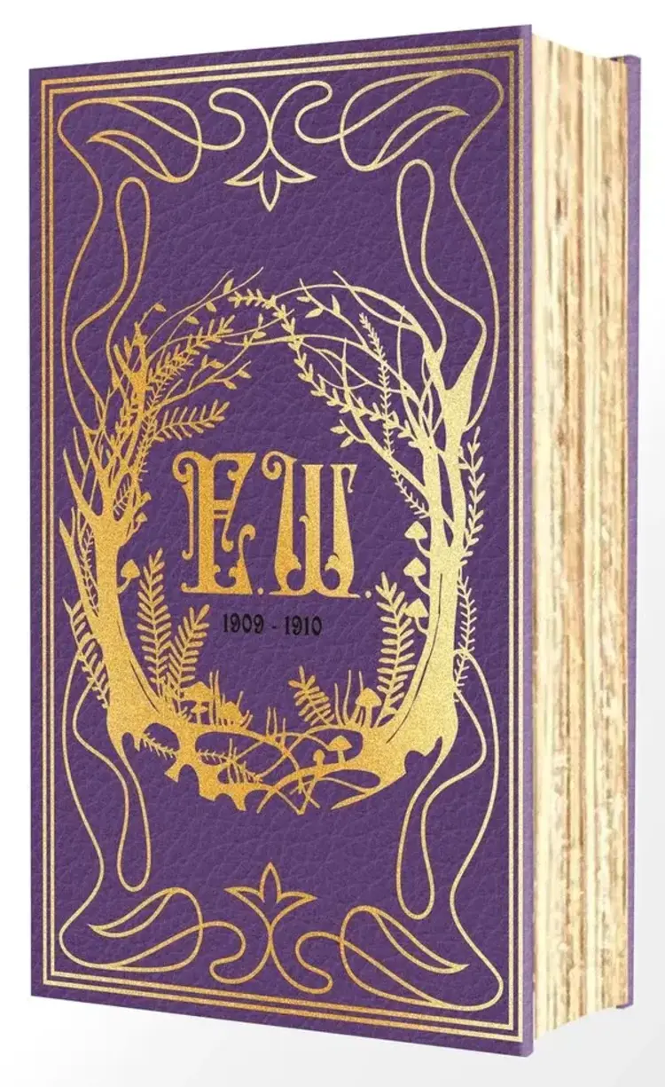 DEL REY EMILY WILDES ENCYCLOPAEDIA OF FAERIES DELUXE EDITION HC NOVEL