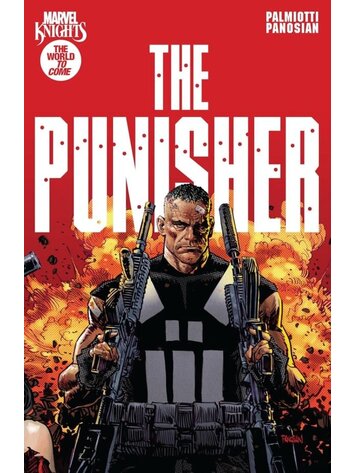 MARVEL COMICS MARVEL KNIGHTS PUNISHER TP