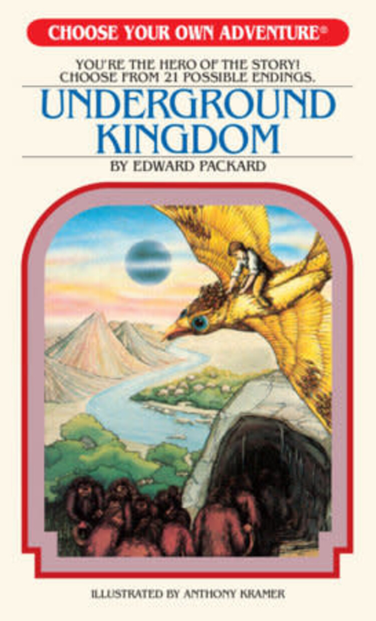 CHOOSE YOUR OWN ADVENTURE UNDERGROUND KINGDOM SC NOVEL