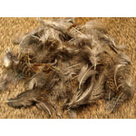 Nature's Spirit Premium Partridge 48 Select Feathers -