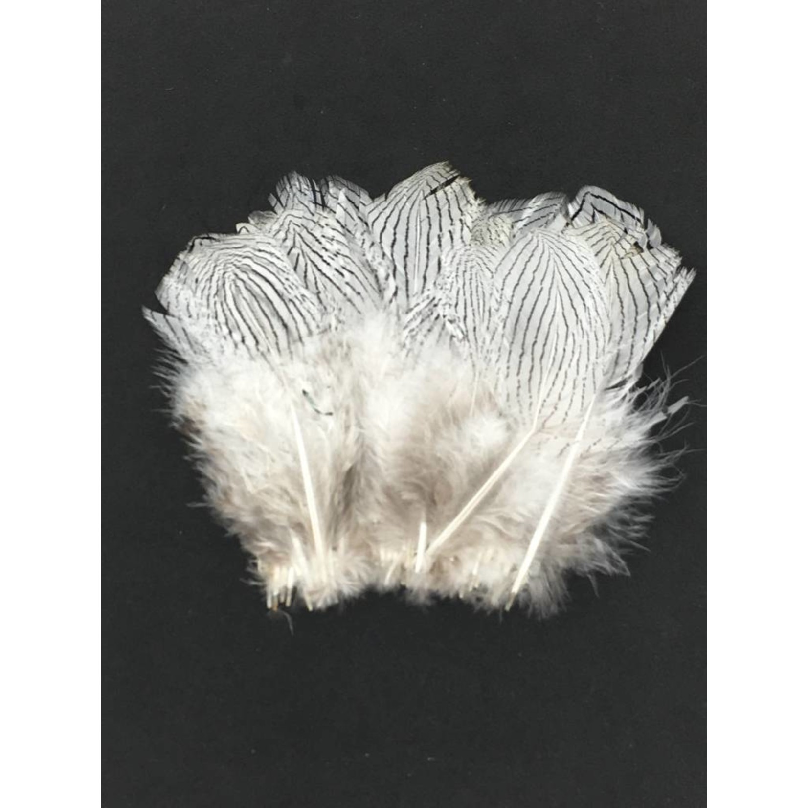 Hareline Dubbin Silver Pheasant Body Feathers, Strung -