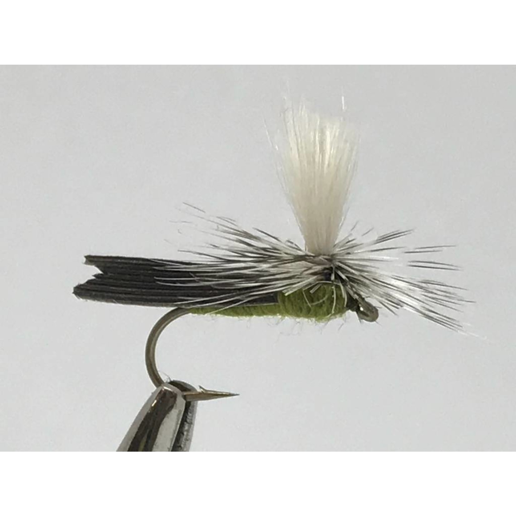 Parachute Caddis,