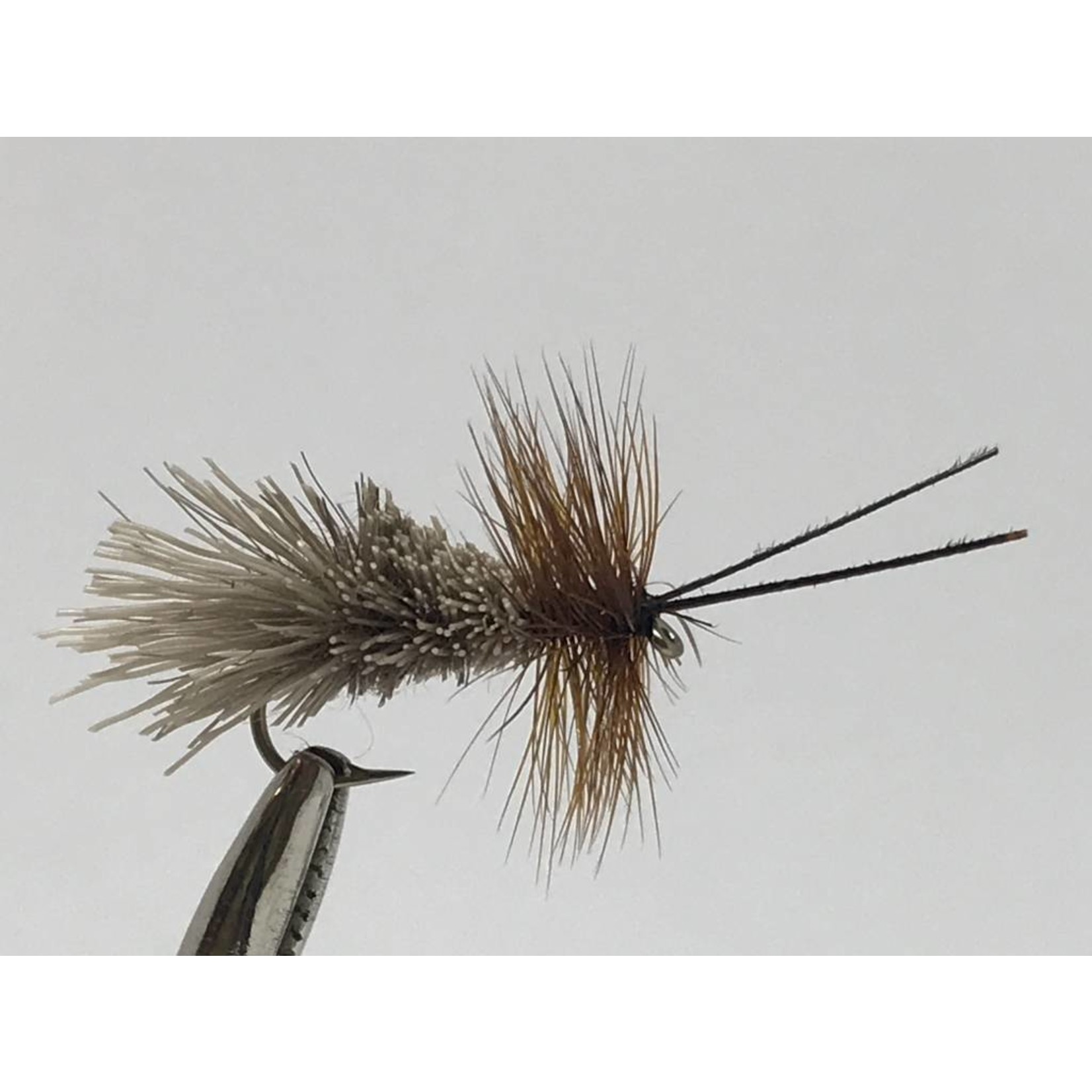 Goddard Caddis,