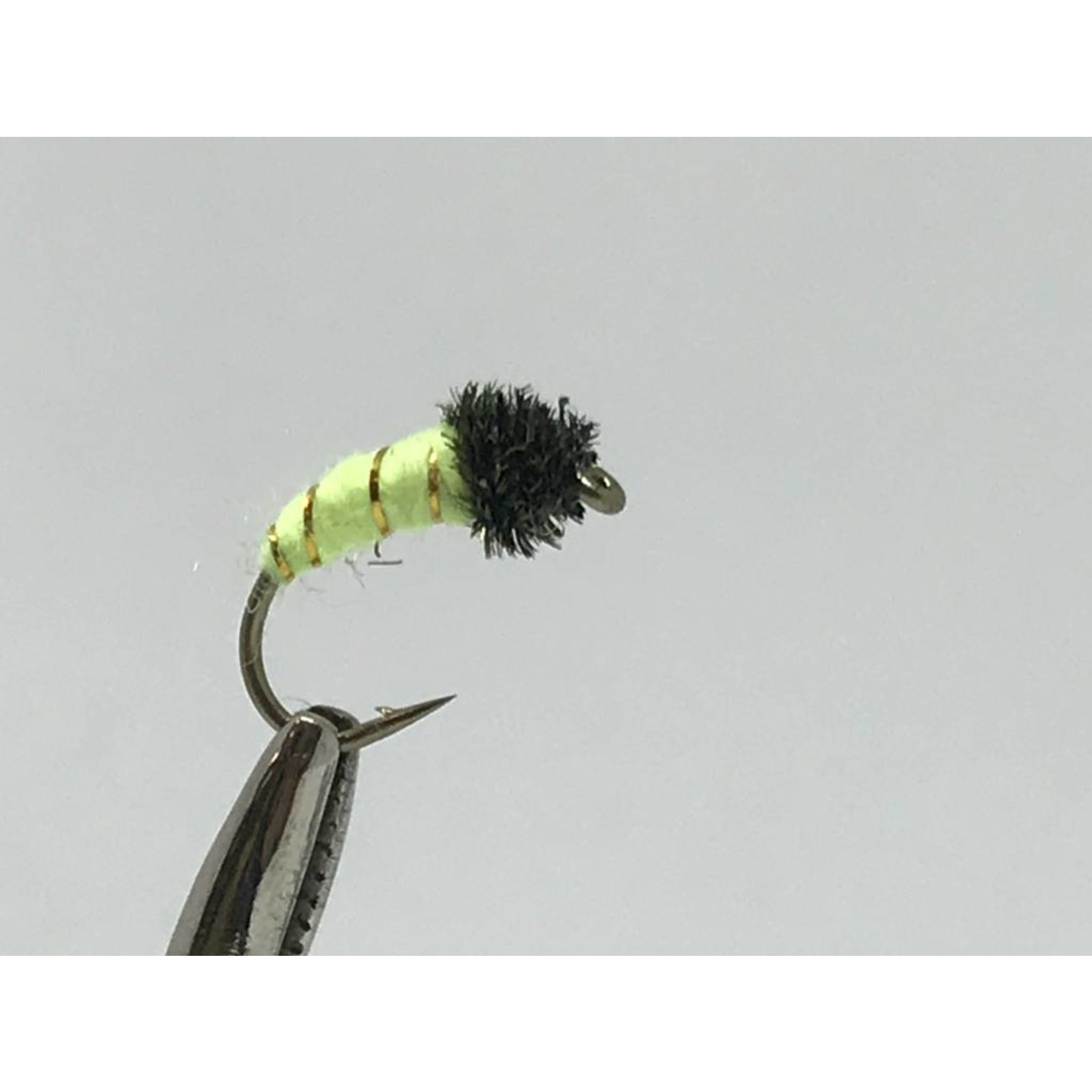 Caddis Worm -