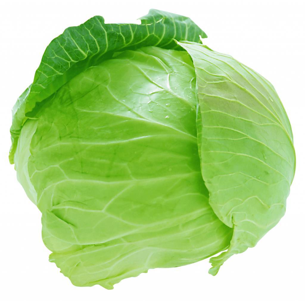Brand 4 cabbage