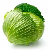 Brand 4 cabbage