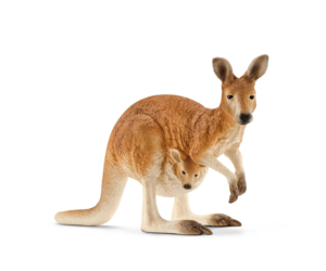 papoose kangaroo