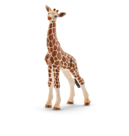 Schleich Baby giraffe