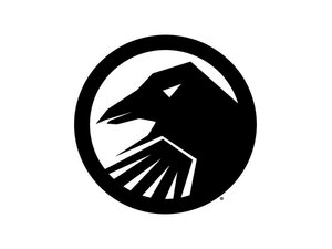 Shadow Conspiracy