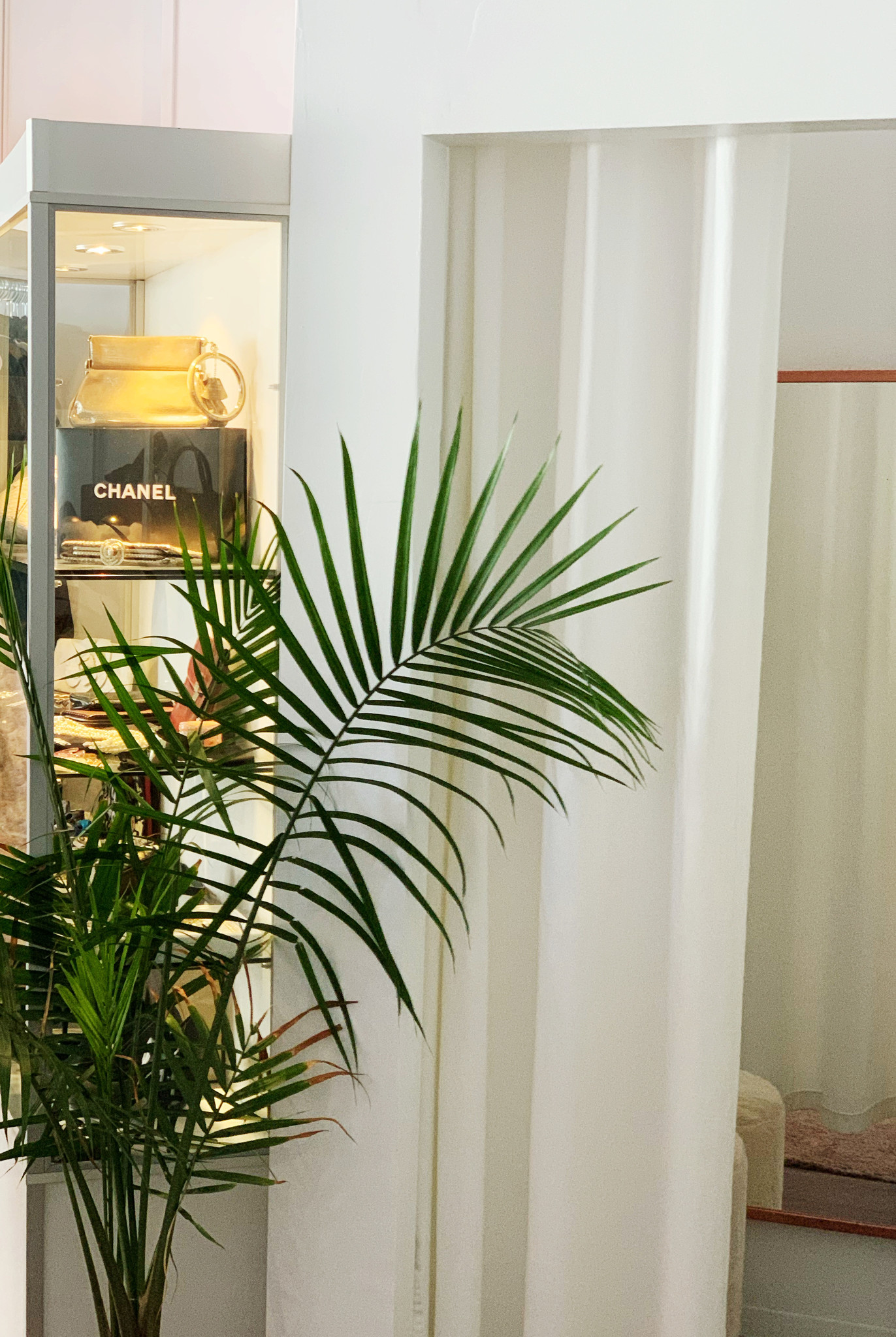 Réouverture de la boutique le 9 février