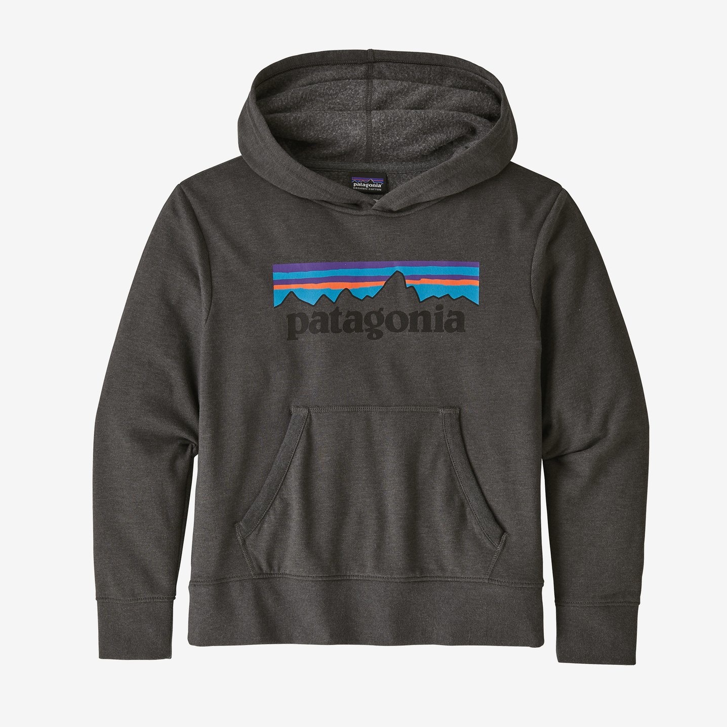 Patagonia graphic hoodie hotsell