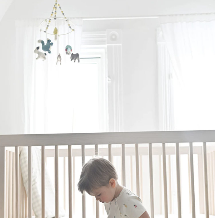 Pehr Designs Pehr Baby Classic Mobile