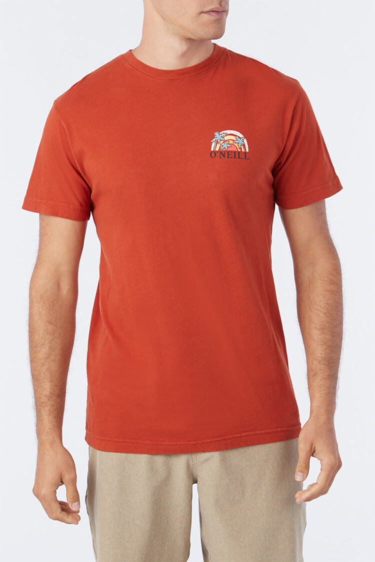 O'Neill O'Neill Mens Shaved Ice Tee