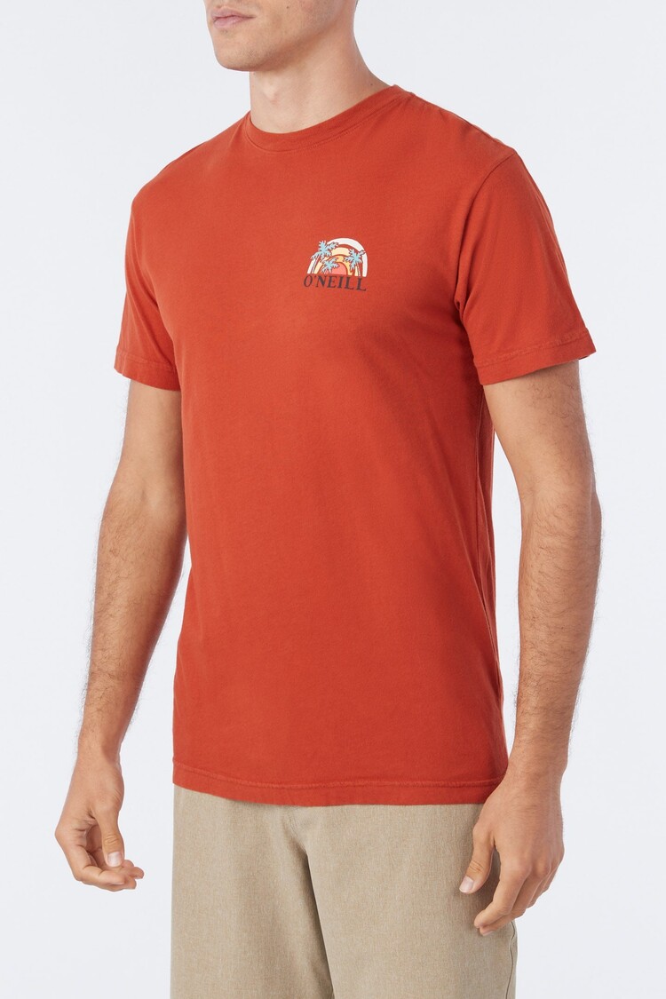 O'Neill O'Neill Mens Shaved Ice Tee