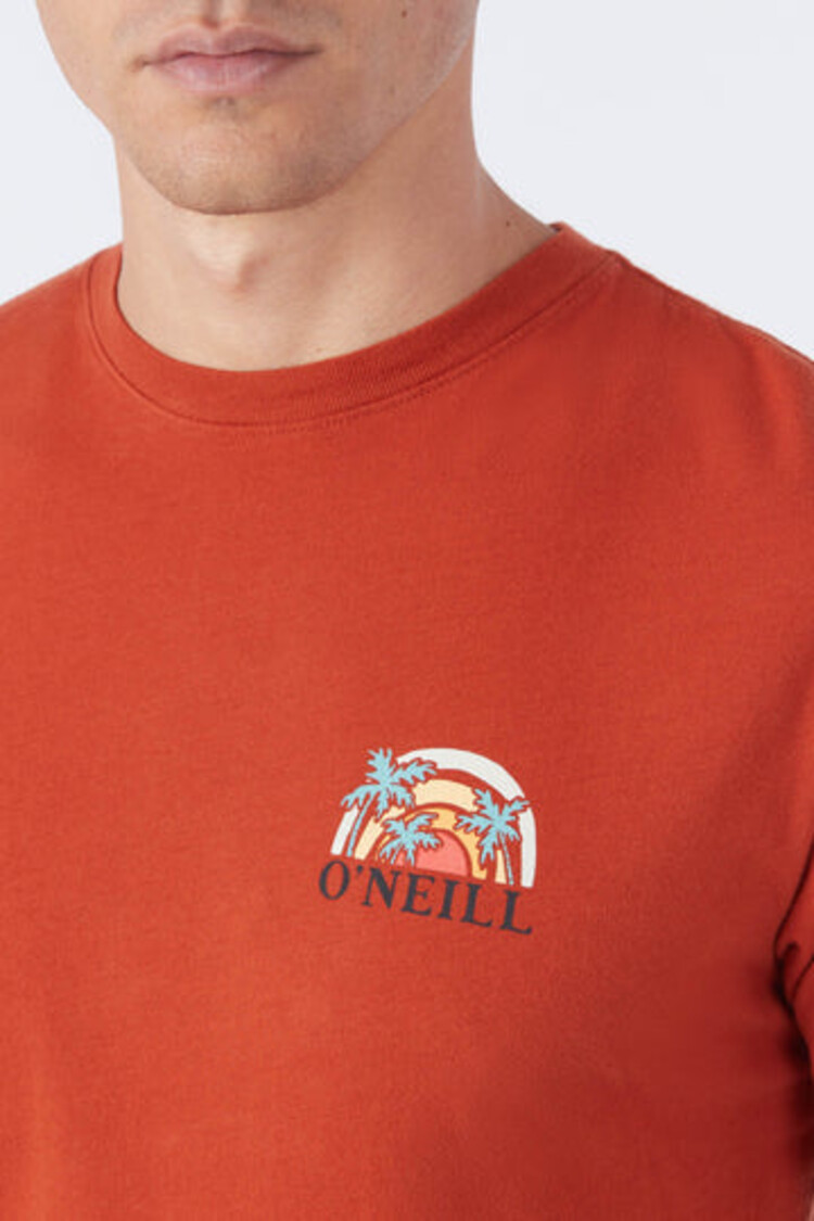 O'Neill O'Neill Mens Shaved Ice Tee